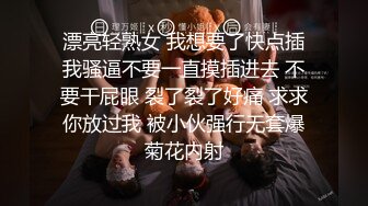 主人的任务：妓女篇假扮妓女去公园随机找路人要200块让他随便摸 体验极致的羞耻与下贱，本次任务完成度%100 猜猜接下来会发生什么？