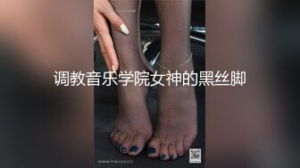 调教音乐学院女神的黑丝脚