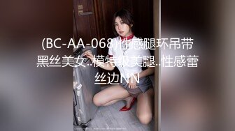 (BC-AA-068)性感腿环吊带黑丝美女..模特级美腿..性感蕾丝边NN