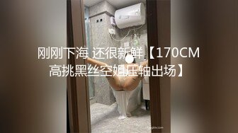 刚刚下海 还很新鲜【170CM高挑黑丝空姐压轴出场】