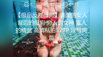 【极品反差母狗】表面的女人 背后的母狗 穷人的女神 富人的精盆 高清私拍527P 淫母狗篇