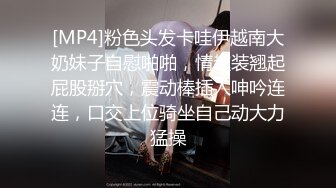 [MP4]粉色头发卡哇伊越南大奶妹子自慰啪啪，情趣装翘起屁股掰穴，震动棒插入呻吟连连，口交上位骑坐自己动大力猛操