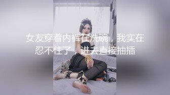 女友穿着内裤在洗碗，我实在忍不住了，进去直接抽插