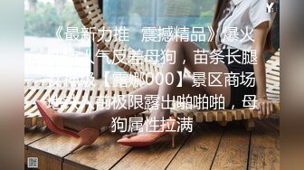 《最新力推✿震撼精品》爆火推特人气反差母狗，苗条长腿女神级【露娜000】景区商场地铁人前极限露出啪啪啪，母狗属性拉满