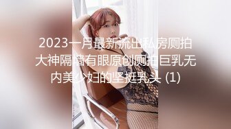 2023一月最新流出私房厕拍大神隔墙有眼原创厕拍巨乳无内美少妇的坚挺乳头 (1)