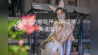 小母狗的菊花开 叫声淫荡，美滋滋！