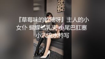 『草莓味的軟糖呀』主人的小女仆 蝴蝶结乳夹 小尾巴肛塞 小穴流水特写