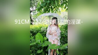 91CM-222-说唱巨星的淫谋-何小丽