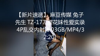 [MP4/375MB]蜜桃影像傳媒 PME028 大屌教訓欠操騷逼 林思妤