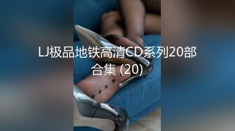 LJ极品地铁高清CD系列20部合集 (20)