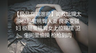 【极品高端泄密】调教玩操太原极品蜜桃臀人妻 良家变骚妇 极品蜜桃臀女上位摇摆 卫生间里偷操 枪枪到肉