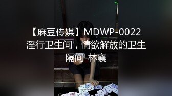 【麻豆传媒】MDWP-0022 淫行卫生间，情欲解放的卫生隔间-林襄