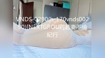 VNDS-0290(h_170vnds00290)[NEXTGROUP]若妻不倫紀行