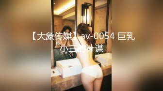 【大象传媒】av-0054 巨乳小三的计谋