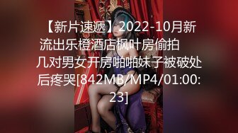 【新片速遞】2022-10月新流出乐橙酒店枫叶房偷拍❤️几对男女开房啪啪妹子被破处后疼哭[842MB/MP4/01:00:23]