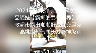 2024重磅核弹，推特网黄极品骚婊【露娜的異想世界】调教超市露出啪啪野战肛交足交，高挑白皙气质长发女神级别【上】 (1)