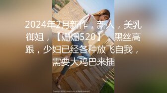 2024年2月新作，新人，美乳御姐，【姗姗520】，黑丝高跟，少妇已经各种放飞自我，需要大鸡巴来插