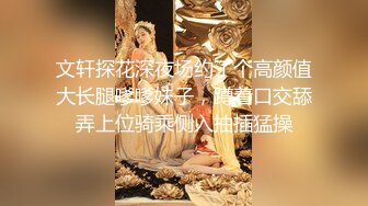 文轩探花深夜场约了个高颜值大长腿嗲嗲妹子，蹲着口交舔弄上位骑乘侧入抽插猛操