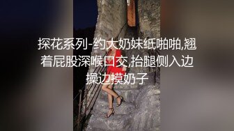 探花系列-约大奶妹纸啪啪,翘着屁股深喉口交,抬腿侧入边操边摸奶子