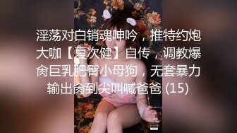 淫荡对白销魂呻吟，推特约炮大咖【夏次健】自传，调教爆肏巨乳肥臀小母狗，无套暴力输出肏到尖叫喊爸爸 (15)