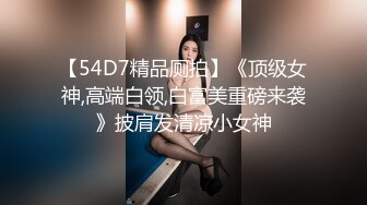 【54D7精品厕拍】《顶级女神,高端白领,白富美重磅来袭》披肩发清凉小女神