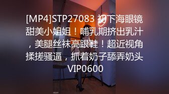 [MP4]STP27083 初下海眼镜甜美小姐姐！哺乳期挤出乳汁，美腿丝袜高跟鞋！超近视角揉搓骚逼，抓着奶子舔弄奶头 VIP0600