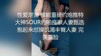 性爱泄密 核能重磅约炮推特大神SOUR约啪良家人妻甄选 抱起来怼操饥渴丰臀人妻 完美露脸