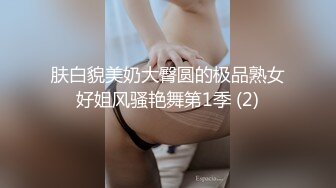 肤白貌美奶大臀圆的极品熟女好姐风骚艳舞第1季 (2)