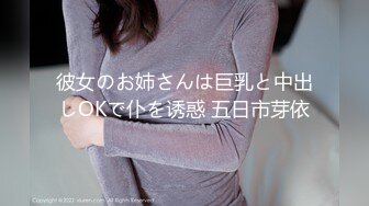 彼女のお姉さんは巨乳と中出しOKで仆を诱惑 五日市芽依